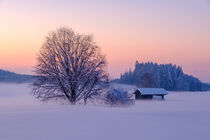 Winterabend von Thomas Matzl