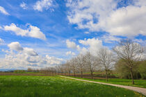 Weg durch die Frühlingslandschaft bei Eigeltingen im Hegau by Christine Horn