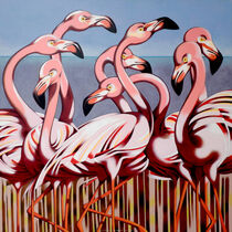 Flamingos von federico cortese