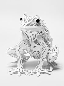 Der Kirigami Frosch | The Kirigami Frog von Frank Daske