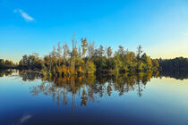 Uferlandschaft Nillsee im Pfrunger-Burgweiler Ried bei Wilhelmsdorf by Christine Horn