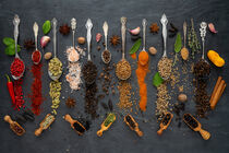 Exotische Gewürze aus aller Welt - Exotic spices from around the world von Thomas Klee