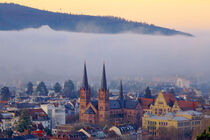 Freiburg Wiehre von Patrick Lohmüller