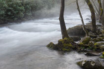 Fog on the Water by Phil Perkins