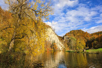 Das Donaudurchbruchstal bei Fridingen an der Donau in herbstlichen Farben - Naturpark Obere Donau von Christine Horn