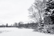 Winterlandschaft Irndorfer Hardt im Naturpark Obere Donau by Christine Horn