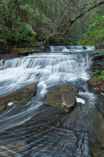 Lower Piney Falls 25 von Phil Perkins