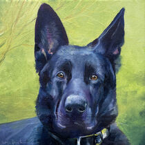 Hundeportrait by Sonja Jannichsen