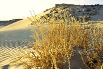 'Sandy Desert 4' von Juergen Seidt