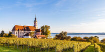 Wallfahrtskirche Birnau am Bodensee von dieterich-fotografie