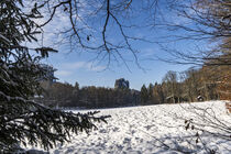 Der Falkenstein, ein Sandsteinfelsen in der Sächsischen Schweiz im Winter von Holger Spieker