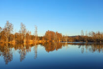 Abendstimmung am Nillsee im Pfrunger-Burgweiler Ried bei Wilhelmsdorf von Christine Horn