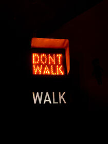 DON ́T WALK, WALK von Alessa Spanel