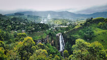 Wasserfall im Hochland Sri Lankas von Dieter Stahl