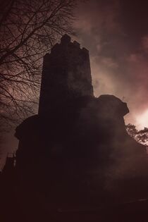 Burg Erfenstein (Vintage) von waldlaeufer