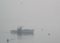 Maine lobster fishermen in mist