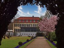 Magnolienblüte am Schloß by Edgar Schermaul