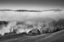 Nebellandschaft im Allgäu von Susanne Fritzsche