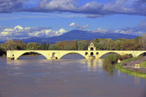 Pont Saint-Bénézet Avignon von Patrick Lohmüller