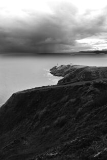 Howth Cliffs, Dublin, Ireland - black and white von Michal Dziedziak