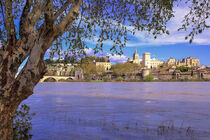 Frühling in Avignon by Patrick Lohmüller