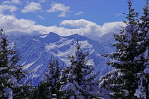 Blick durch die Bäume auf die Berggipfel der Alpen im Winter by babetts-bildergalerie