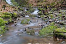 Bachlauf im Thüringer Wald by Marcel Hirsch