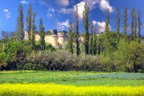 Villeneuve-lès-Avignon von Patrick Lohmüller