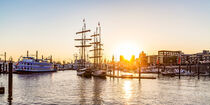 Schiffe in der HafenCity im Hamburger Hafen - Hamburg von dieterich-fotografie
