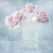 Pink Peonies von Anne Seltmann