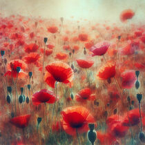 Poppyfield von Anne Seltmann