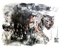 Shadow Tiger by Judith Riemer