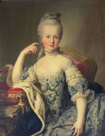 Archduchess Marie Antoinette Habsburg-Lotharingen  von Martin II Mytens or Meytens