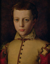 Portrait of Ferdinando de' Medici  von Agnolo Bronzino