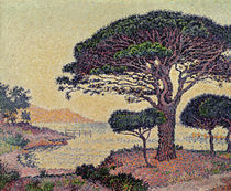 Umbrella Pines at Caroubiers von Paul Signac