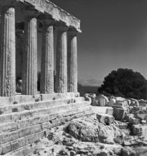 Temple of Aphaea  by Greek