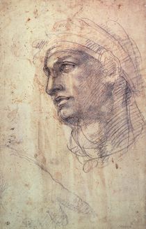 Study of a Head  by Michelangelo Buonarroti