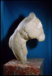 Discobolus von Roman