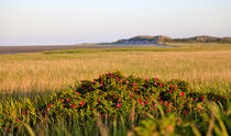 Sylt #13 von Andreas Tabbert