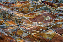 Rock pattern, Glacier National Park, Montana von Tom Dempsey