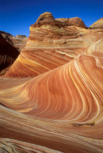 fossilized sand dunes, Arizona, USA by Tom Dempsey