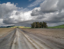 At the end of the road von Pablo Vicens