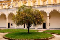 lemon tree von Zuzanna Nasidlak