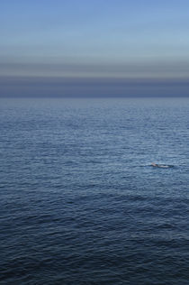 Swimming in the Ocean, Greystones, Ireland. von Tom Hanslien