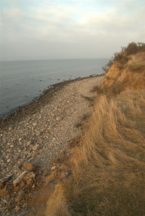 Blick auf den Strand von Max Nemo Mertens