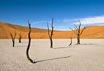 Dead Desert Trees at Dead Vlei by Russell Bevan Photography