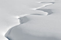 Meandering Indian Creek Yellowstone National Park USA 2 by Ed Book