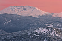 Mount St Helens in evening alpenglow by Ed Book