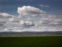 wind farm  by Ed Book