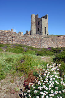 Wheal Coates Spring von Mike Greenslade